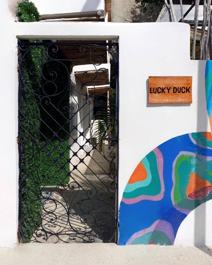 坎昆 Lucky Duck Pj酒店 外观 照片