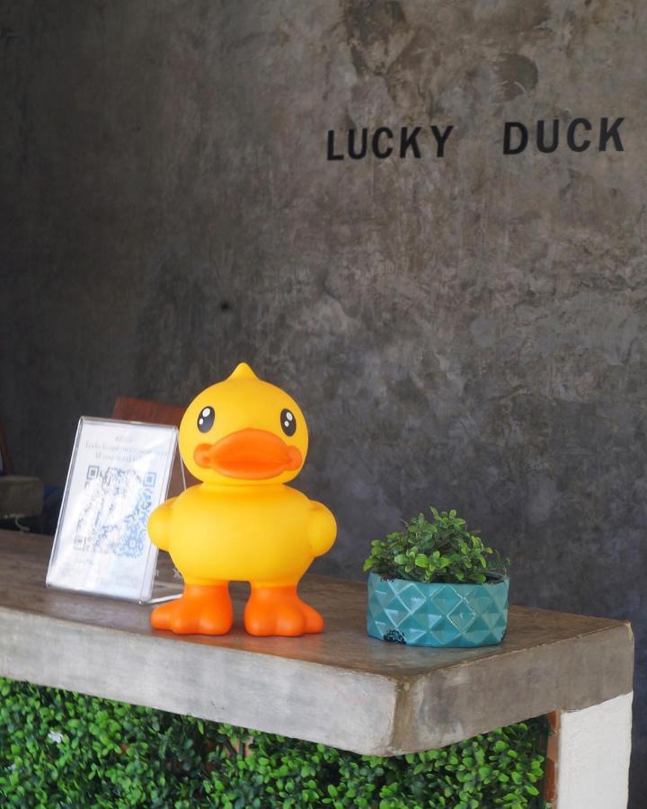 坎昆 Lucky Duck Pj酒店 外观 照片